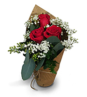 Flowers By Bauers Red Rose Botanical Bouquet