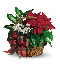 Flowers By Bauers Holiday Homecoming Basket