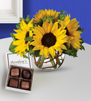 Flowers By Bauers Sweet Sunshine Candy & Flowers