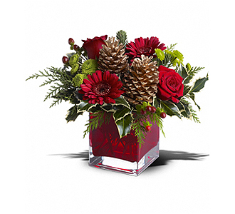 Flowers By Bauers Cozy Christmas