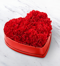 The FTD Heartfelt Carnation Box
