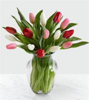 Heart Tulips