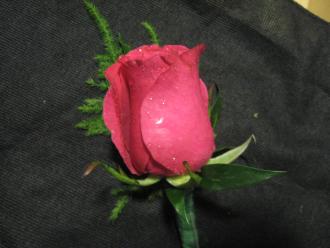 Large Rose Boutonniere