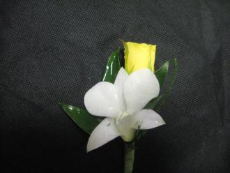 Dendrobium Orchid and Mini Rose Boutonniere
