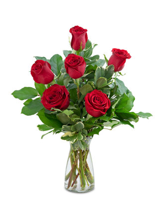 Red roses -6