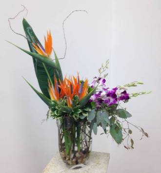 TROPICAL BIRD OF PARADISE AND ORCHID