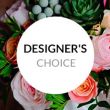 Bright Colored Designers Choice