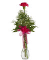 Single Carnation Bud Vase