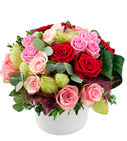 Colorful Arrangement of Mixed Roses