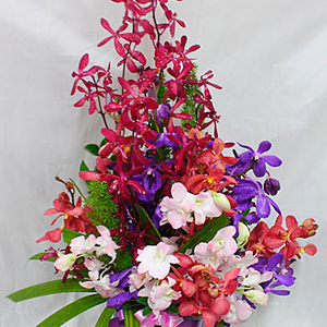 Arrangement with Orchids