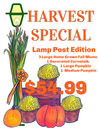 HARVEST SPECIAL - LAMPPOST EDITION!
