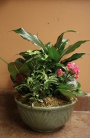 Green and Blooming Plant Basket 