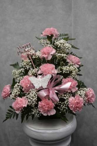 mothers day pink carnation arr