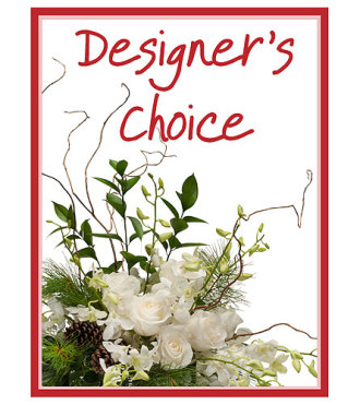 Designers Choice - Winter