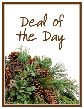 Deal of the Day Winter
