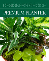 Designer's Choice Premium Planter