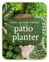 Patio Planter