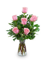 Pink Roses (6)