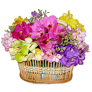 Colorful Basket Arrangement with Orchids