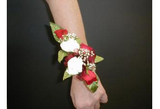 Spray Roses and Mini Carnation Corsage