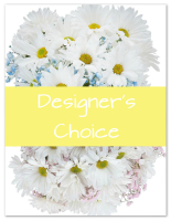 Designer's Choice - New Baby