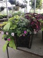 Mother's Day Patio planter