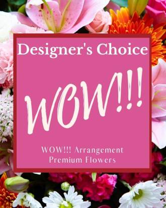 Designer's Choice - WOW!