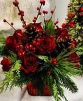 Colonials Christmas Roses