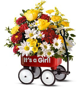 Baby’s First Wagon – Girl