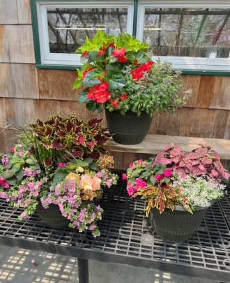 Outdoor Blooming Pot (Shade)