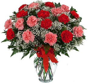 Premium Carnation Bouquet