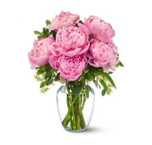 Pink Peony Special