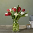 Blooming Love Tulips
