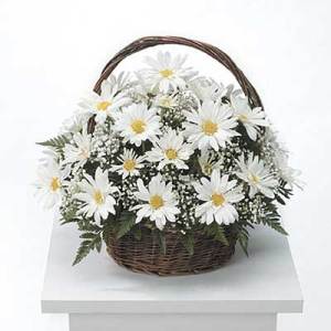 White Daisy Basket