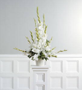 White Gladiola Pedestal Arrangement