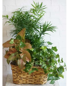 Lovely Leaves Basket