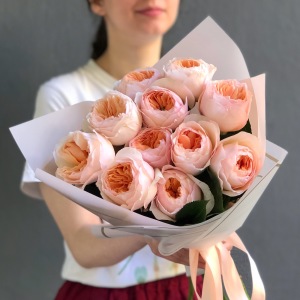 English Garden Roses-Juliet