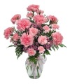 Pastel Pink Carnation Bouquet