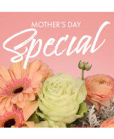 Mothers Day designers Choice