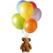 Teddy Bear and Balloons