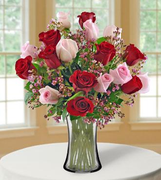 18 Ultimate Elegance Roses