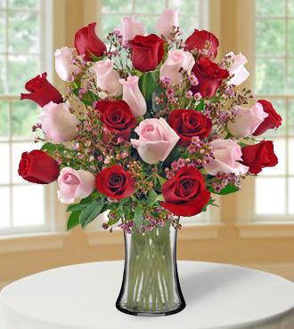 24 Ultimate Elegance Roses