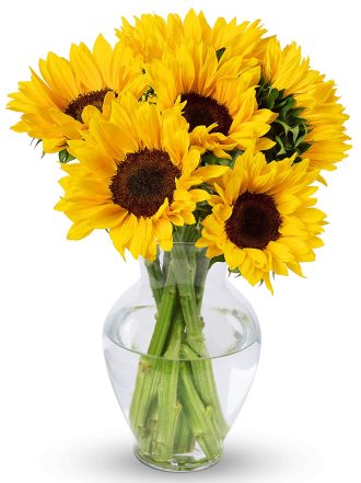Sunflower Power Bouquet