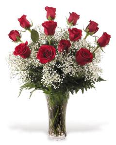 Dozen Long Stem Red Roses With Accent