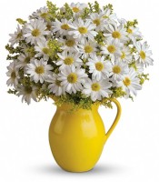 Teleflora's Sunny Day Pitcher of Daisies by CCF