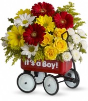 Baby's Wow Wagon -Boy - by CCF