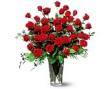 Three Dozen Red Roses - by Charleston Cut Flower Co.