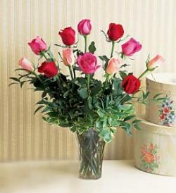 Dozen Multi-Colored Roses - by Charleston Cut Flower Co.