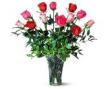 Dozen Multi-Colored Roses - by Charleston Cut Flower Co.
