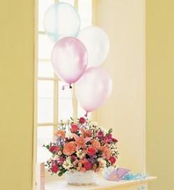 Birthday Balloon Basket - by Charleston Cut Flower Co.